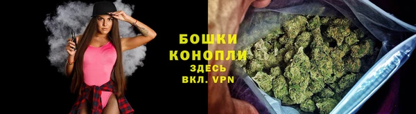 гидра Алексеевка