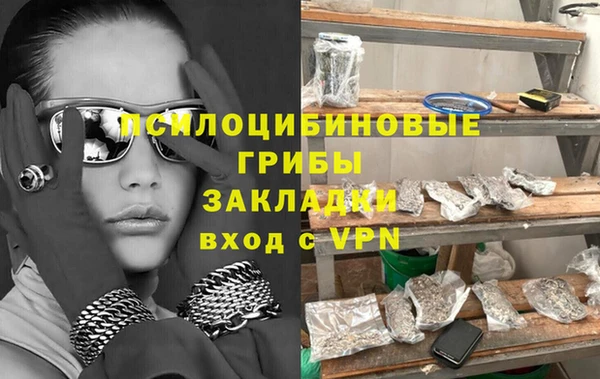 соль ск Алзамай
