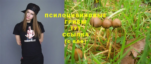 соль ск Алзамай